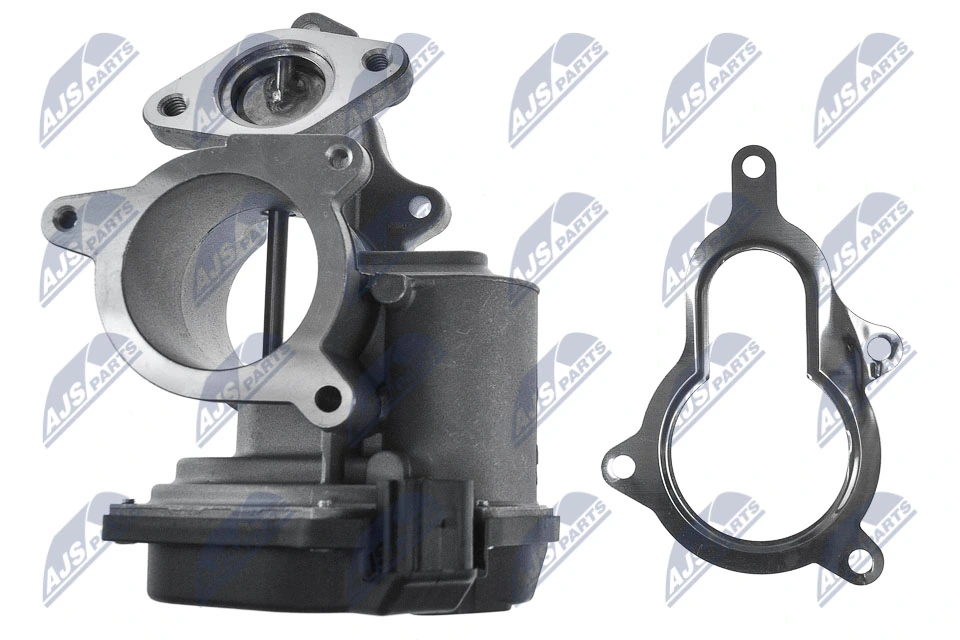 EGR Valve EGR-AU-005