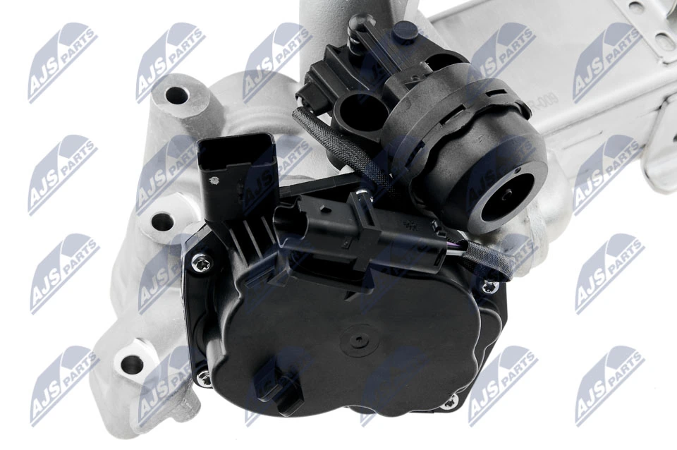 AGR 밸브 EGR-FR-009