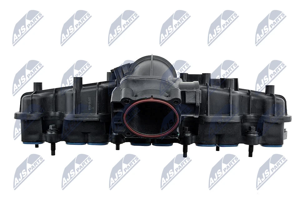 Intake Manifold Module BKS-FR-004