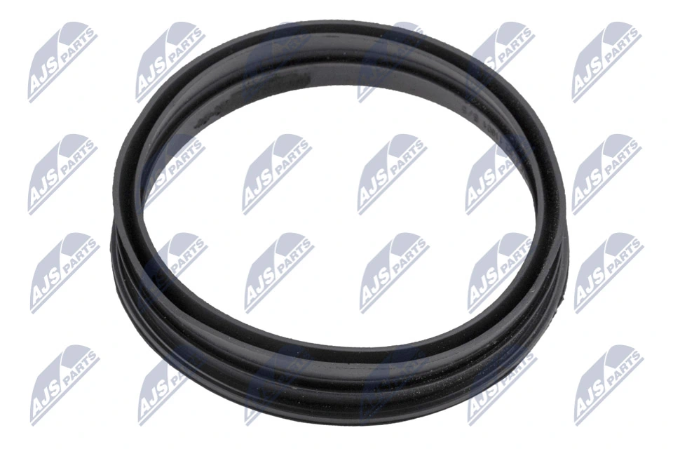 Gasket, fuel pump BPP-VW-007