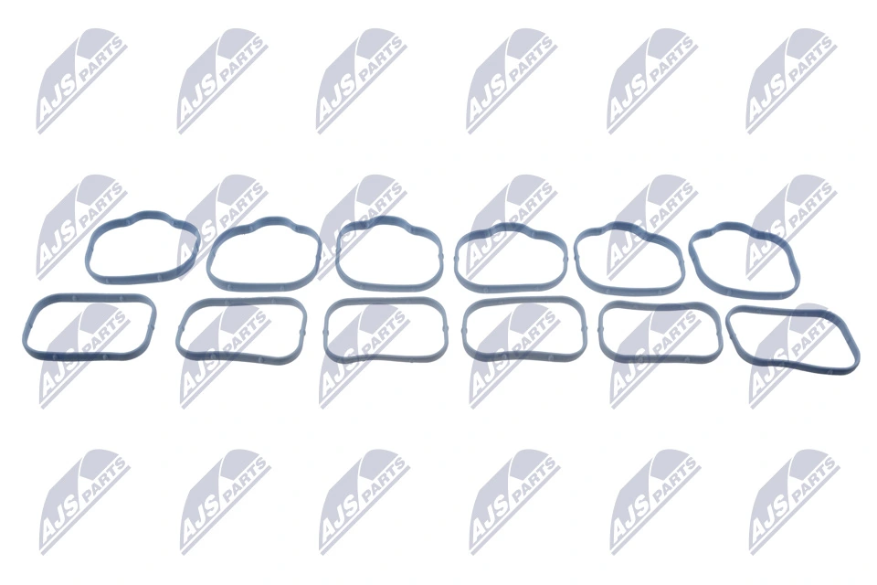 Gasket, intake manifold BKS-CH-004B