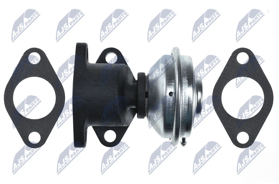 EGR Valve EGR-AU-016
