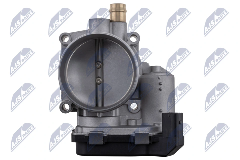 Throttle Body ETB-BM-010