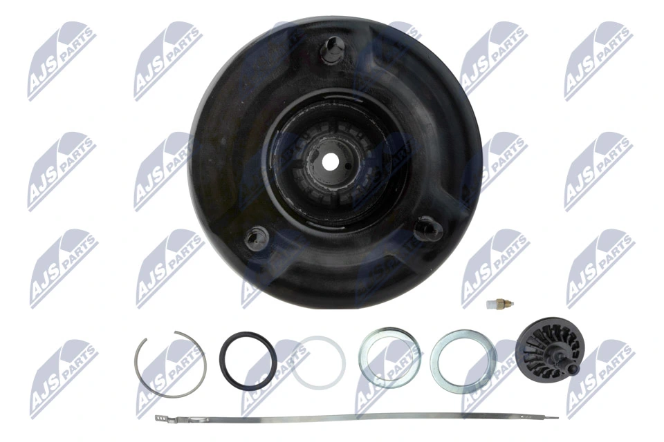 Air Suspension Strut EZC-ME-211