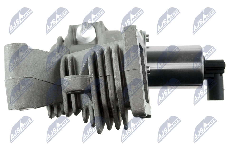 EGR Valve EGR-RE-006