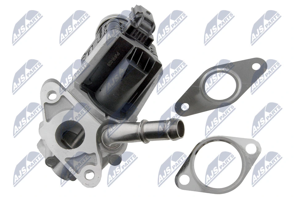 EGR Valve EGR-FR-029