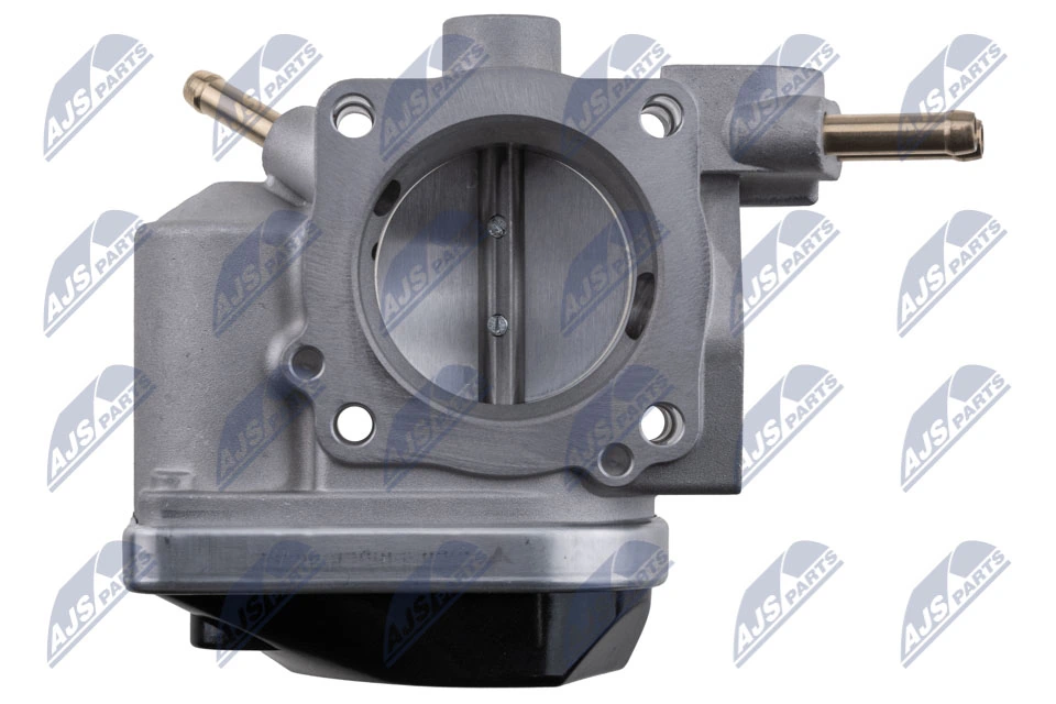Throttle Body ETB-AU-010