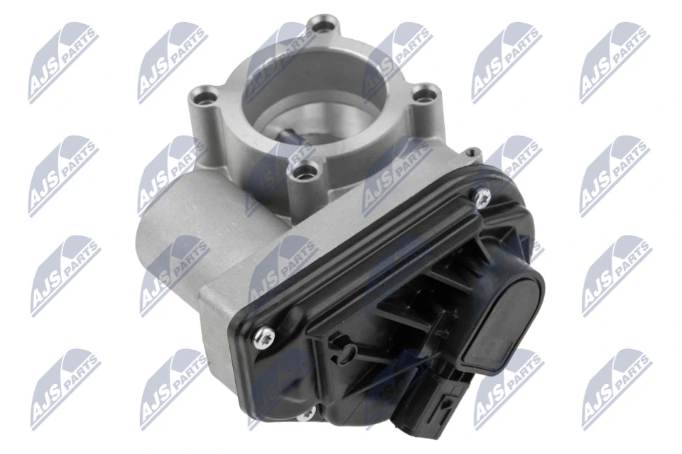 Throttle Body ETB-FR-001
