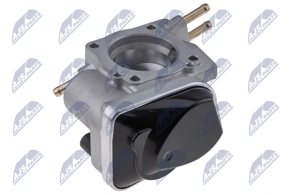 Throttle Body ETB-AU-010
