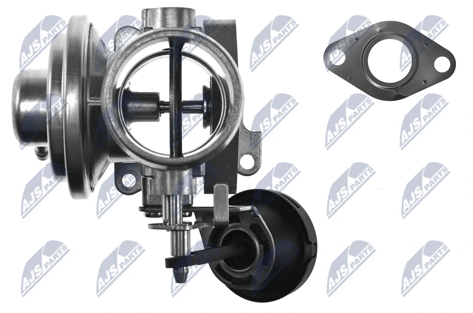EGR Valve EGR-AU-003