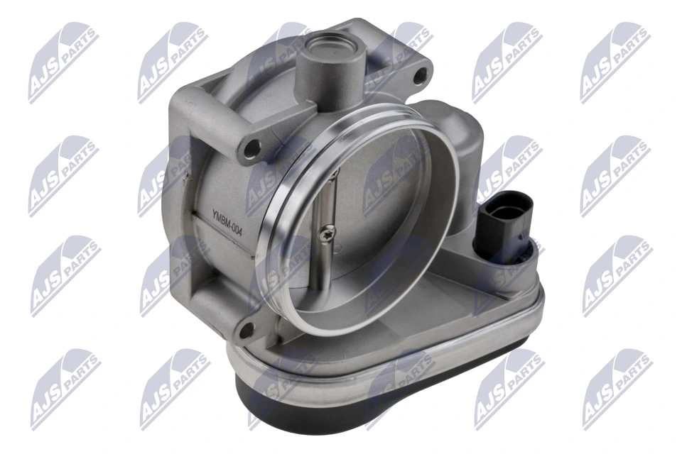 Throttle Body ETB-BM-004