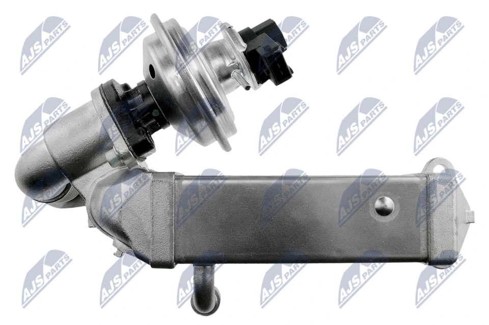 EGR Valve EGR-BM-011A