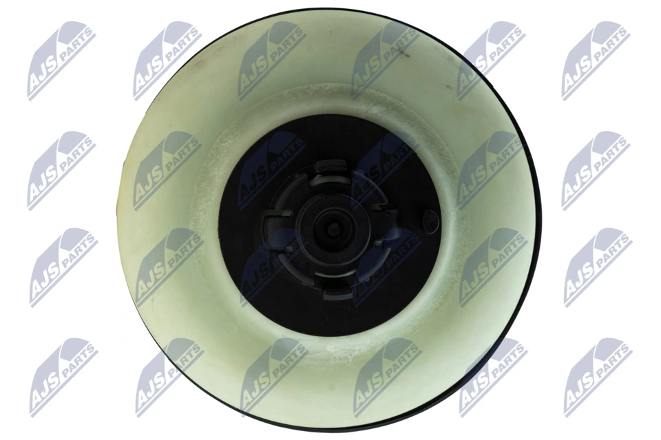 Air Suspension Strut EZC-AU-187