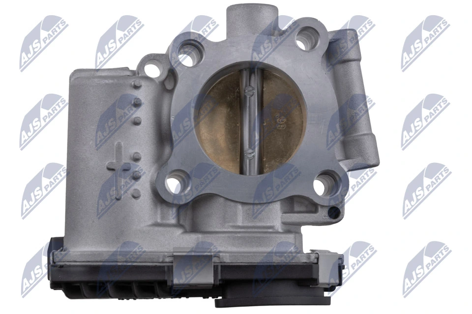 Throttle Body ETB-PL-012