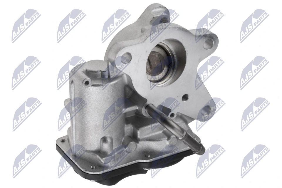 EGR Valve EGR-RE-025