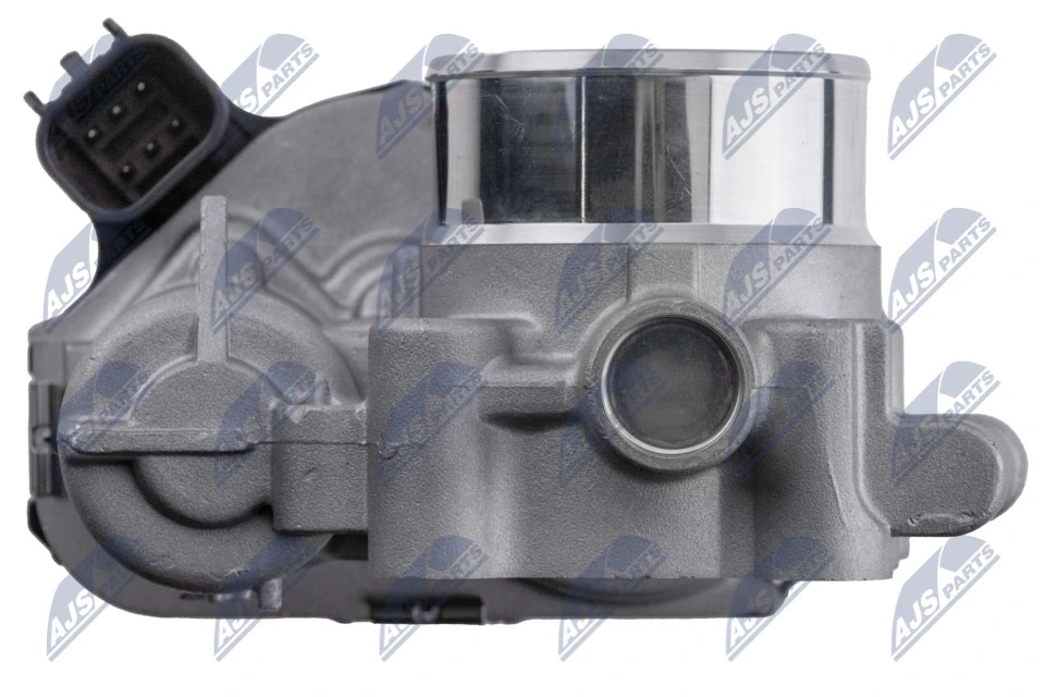Throttle Body ETB-PL-012