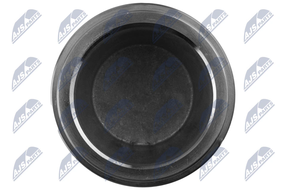 NTY HTZ-TY-024 Piston, brake caliper