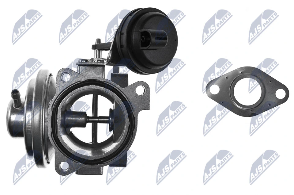 EGR Valve EGR-AU-003