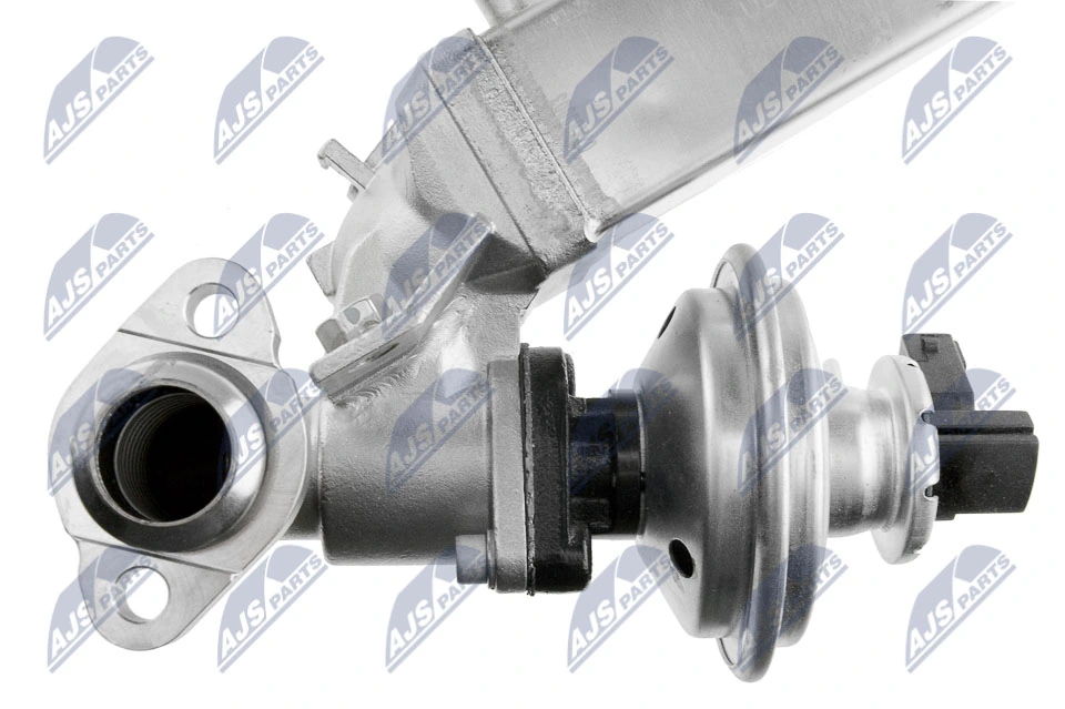 EGR Valve EGR-BM-011A