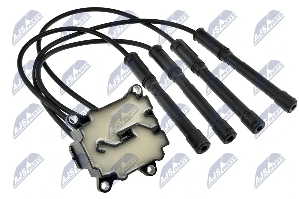 Ignition Coil ECZ-RE-004