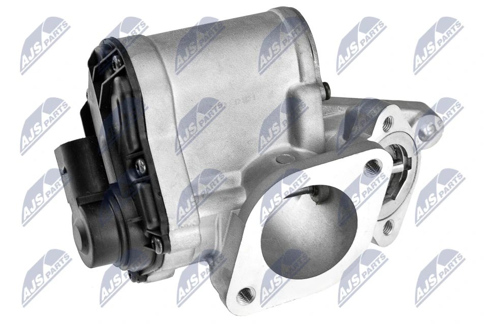 EGR Valve EGR-RE-004