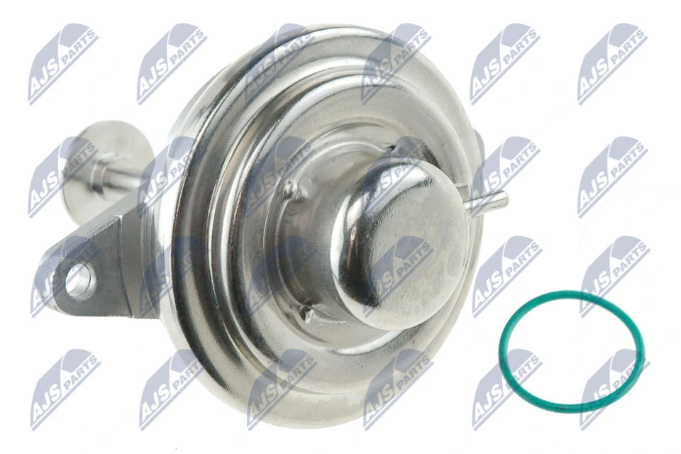 EGR Valve EGR-PL-002