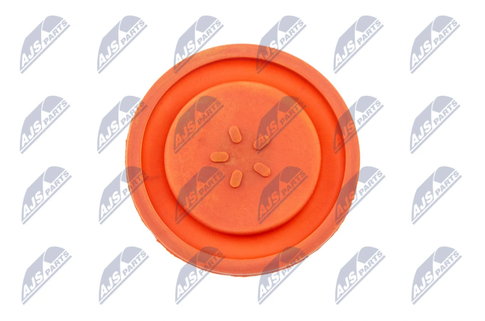 Cylinder Head Cover BPZ-PL-006