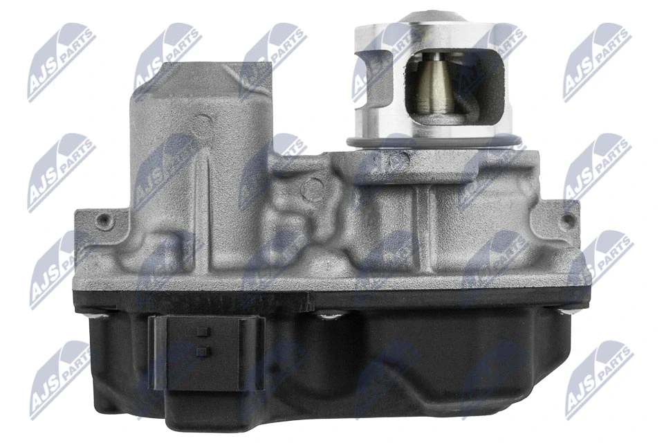 EGR Valve EGR-NS-010