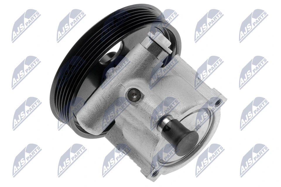 Hydraulic Pump, steering SPW-RE-005