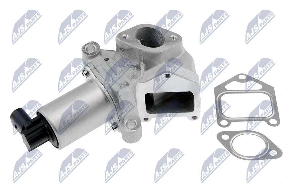 EGR Valve EGR-DW-007