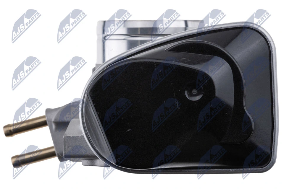 Throttle Body ETB-AU-010