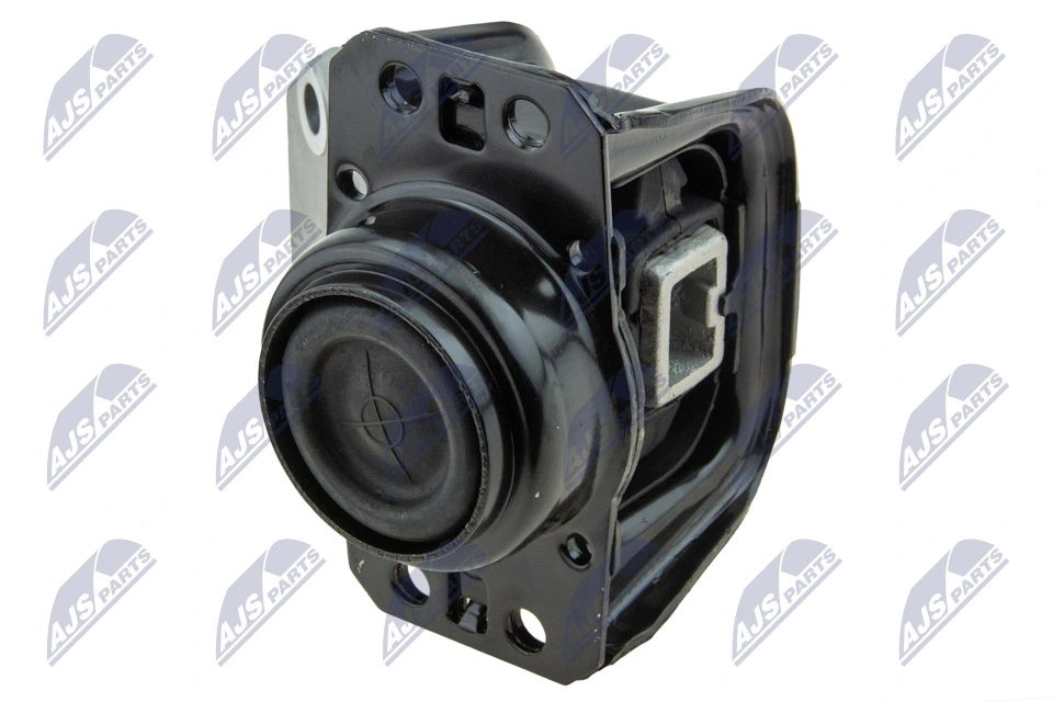 NTY ZPS-PE-019 Mounting, engine