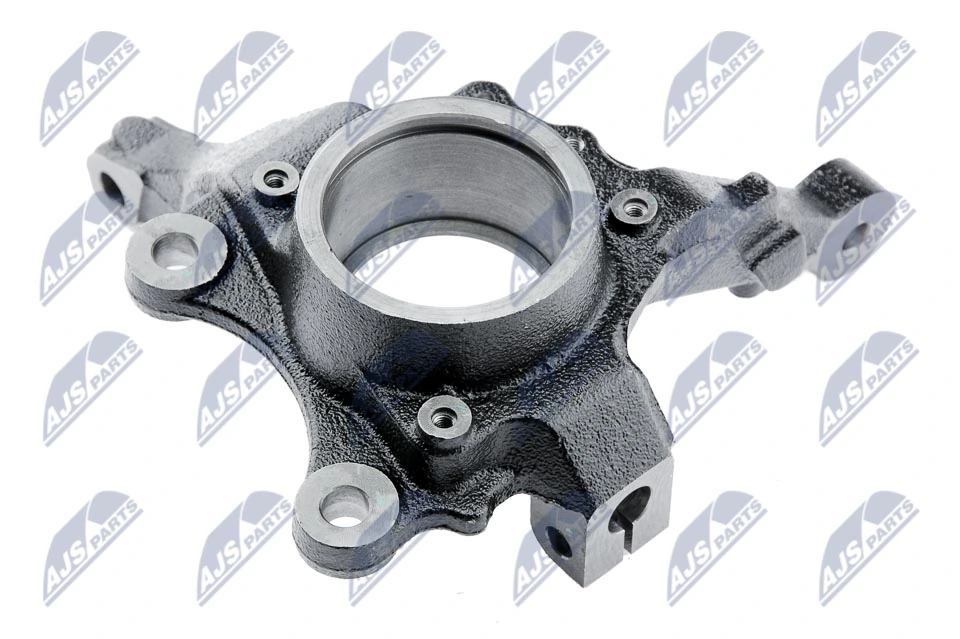 Steering Knuckle, wheel suspension ZZP-PL-004