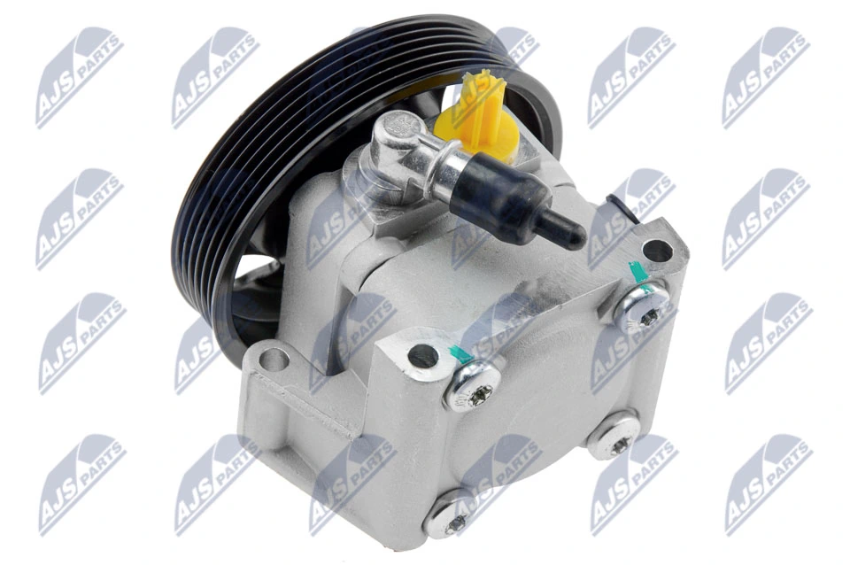 Hydraulic Pump, steering SPW-FR-012