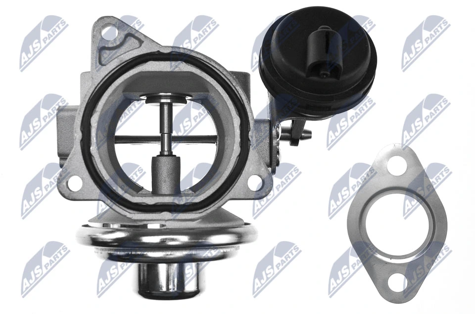 EGR Valve EGR-AU-001