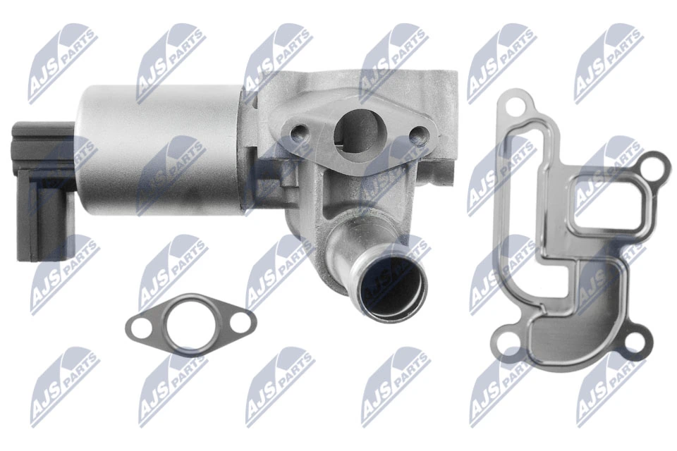 EGR Valve EGR-PL-013