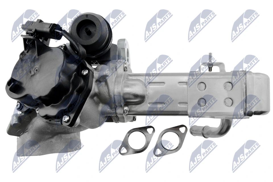 AGR 밸브 EGR-FR-009
