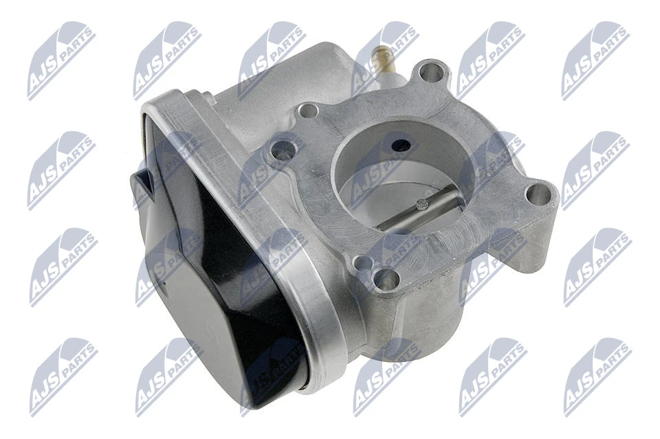 Throttle Body ETB-VW-001
