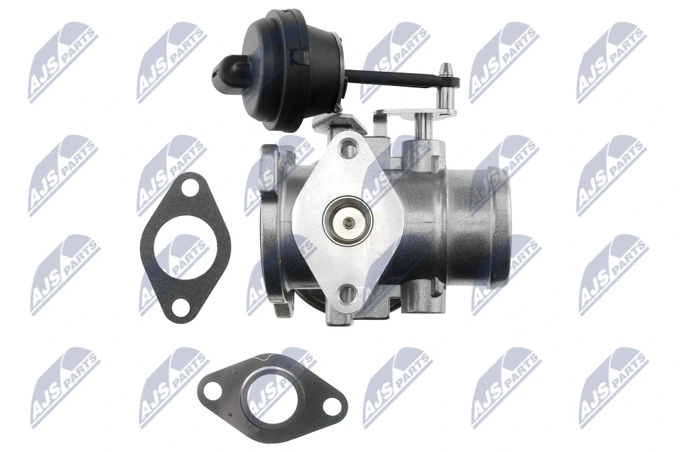 EGR Valve EGR-SK-003