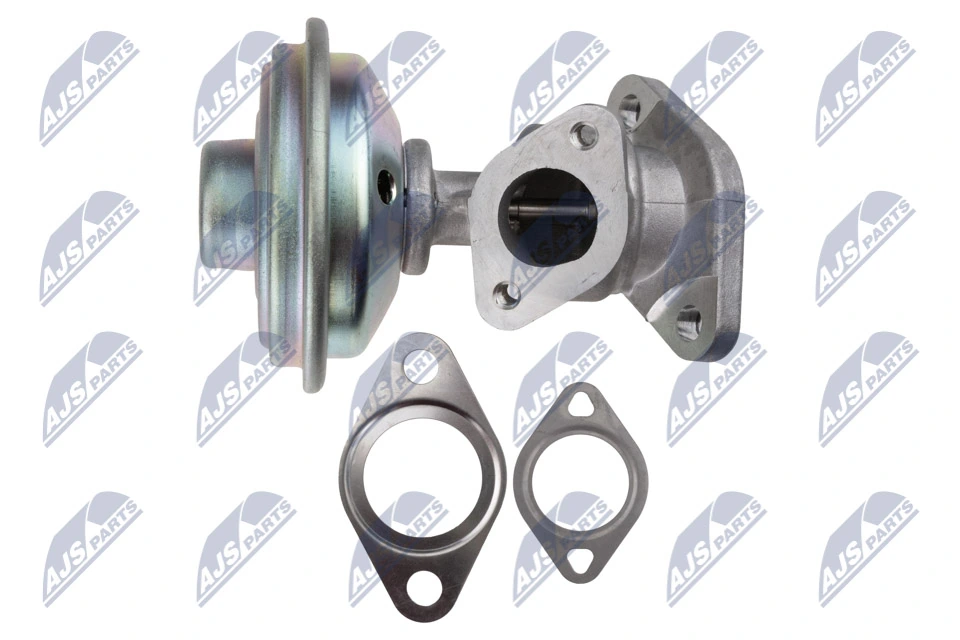 EGR Valve EGR-AU-041