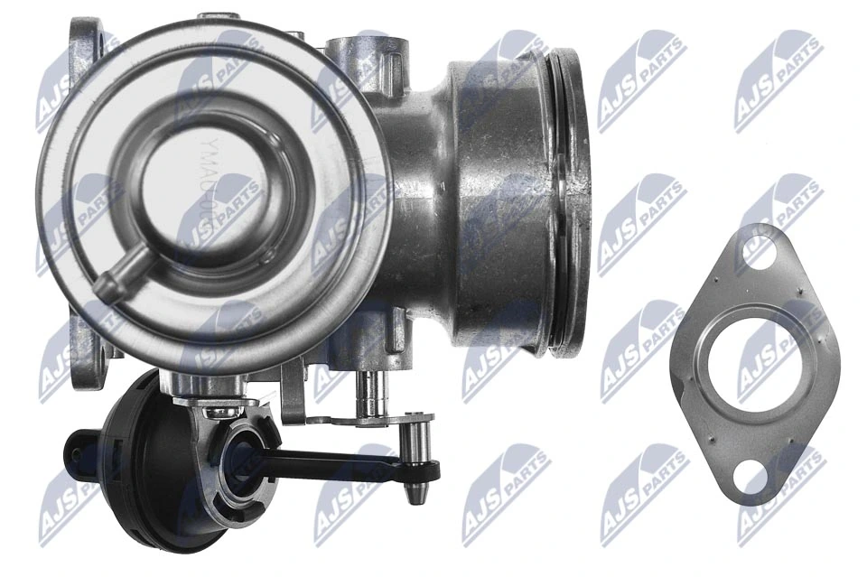 EGR Valve EGR-AU-004