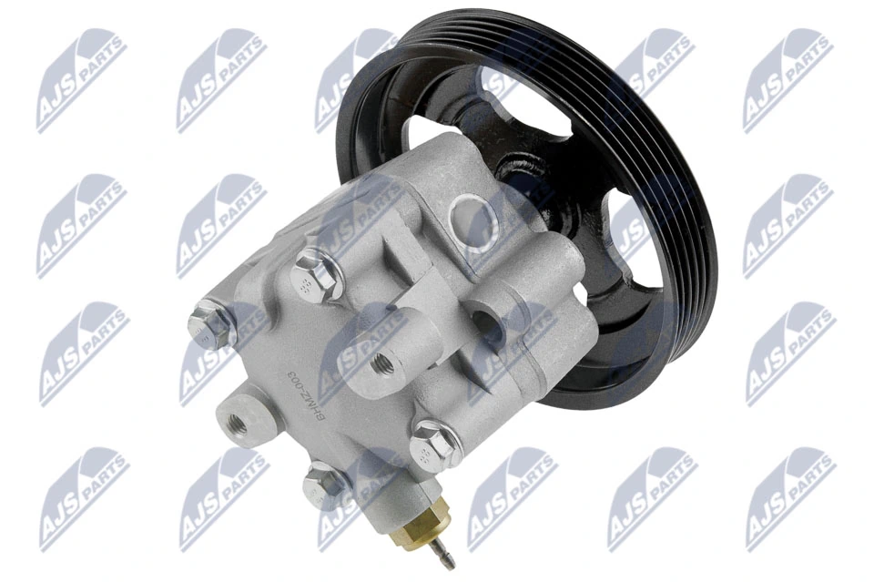 Hydraulic Pump, steering SPW-MZ-003