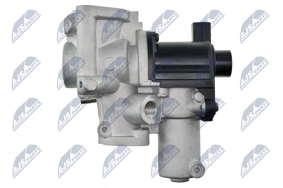 EGR Valve EGR-AU-018