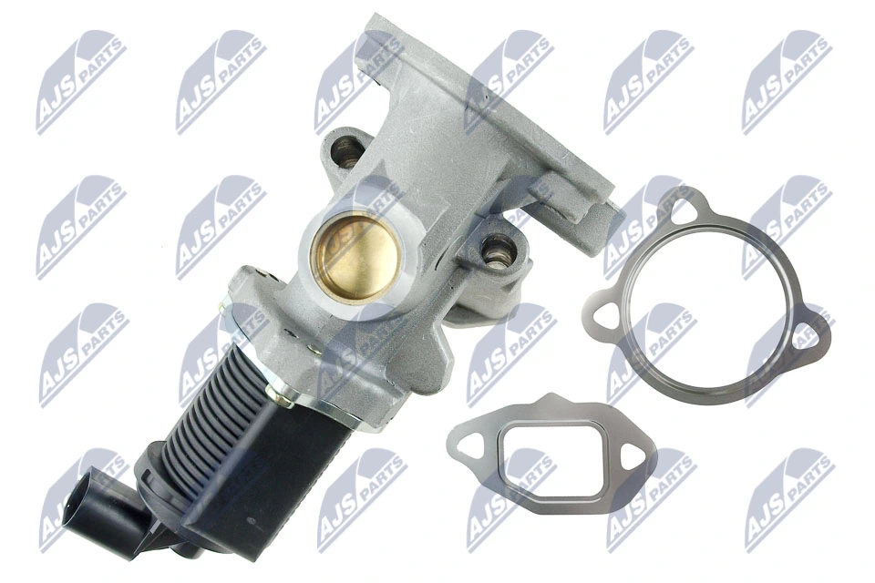 EGR Valve EGR-FT-000