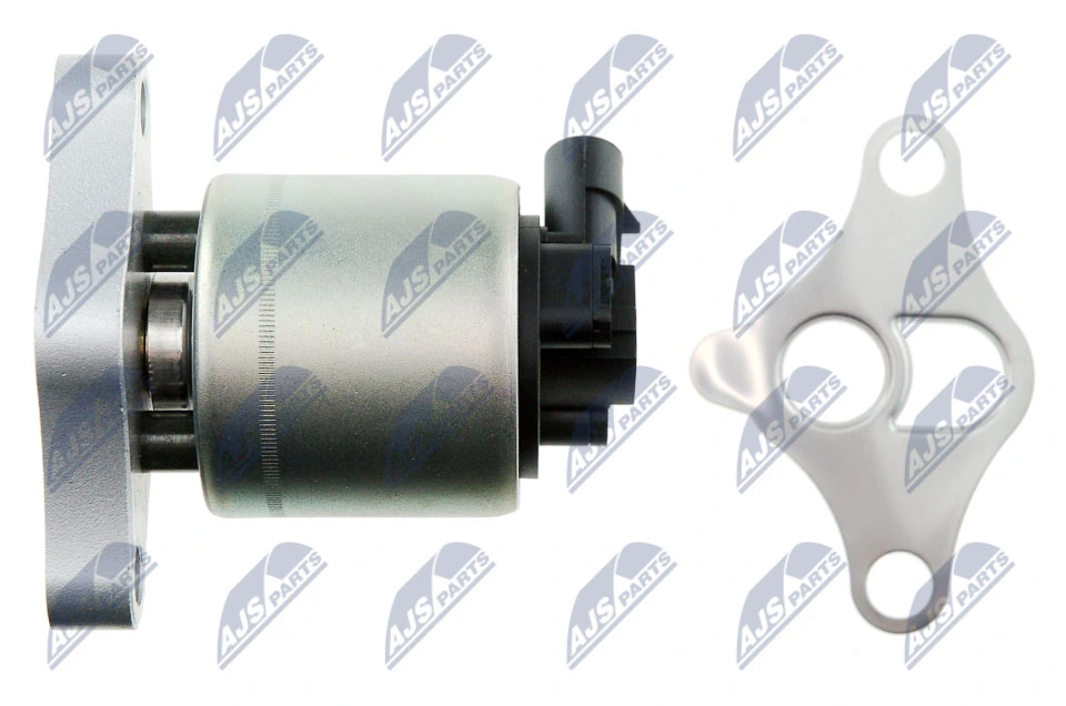 EGR Valve EGR-PL-000