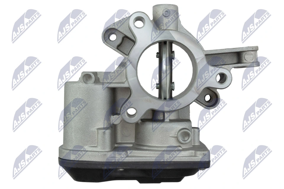Throttle Body ETB-PL-007