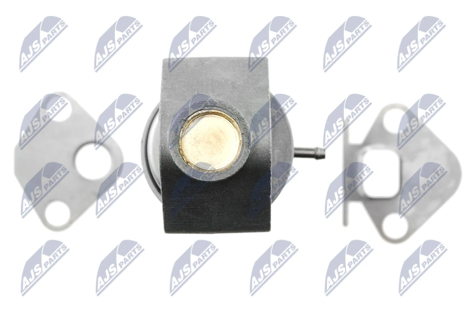 EGR Valve EGR-SK-001