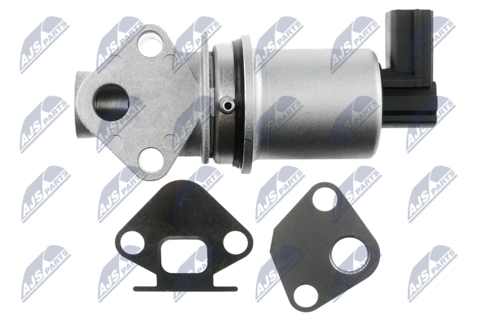 EGR Valve EGR-SK-001