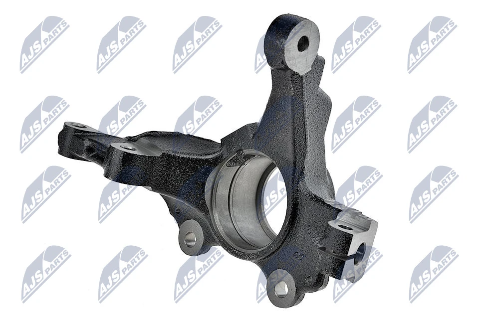 Steering Knuckle, wheel suspension ZZP-PL-009