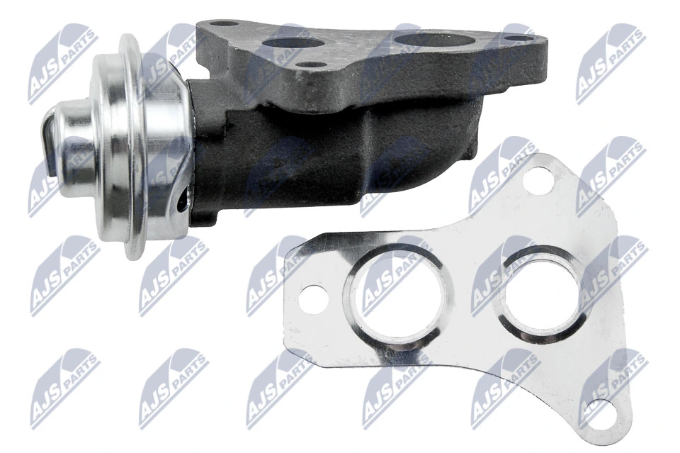 EGR Valve EGR-TY-010